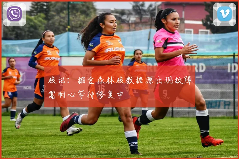 狼记：掘金森林狼数据源出现故障需耐心等待修复中