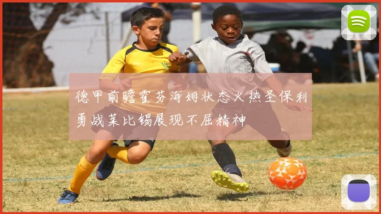 德甲前瞻霍芬海姆状态火热圣保利勇战莱比锡展现不屈精神