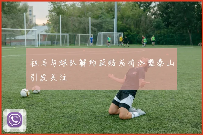 祖马与球队解约获赔或将加盟泰山引发关注