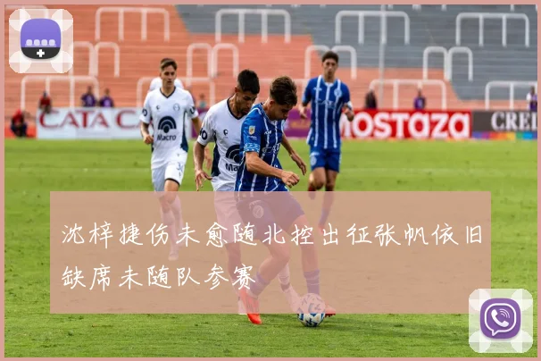 沈梓捷伤未愈随北控出征张帆依旧缺席未随队参赛